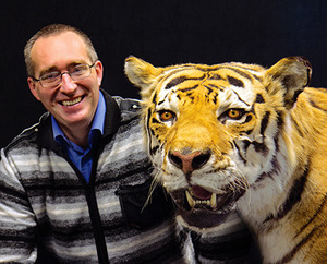 Mikhail Paltsyn poses with a taxidermied Amur tiger, the subspecies his research team hopes can repopulate Central Asia.