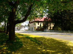 The Horned Dorset Inn is a historic building that now offers a full-service inn and restaurant that is celebrating its 40th anniversary.